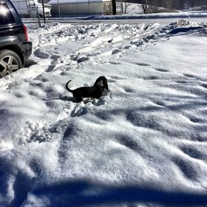 Meet your Posher, Sheri